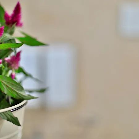 Del Centro Bed & Breakfast 3*